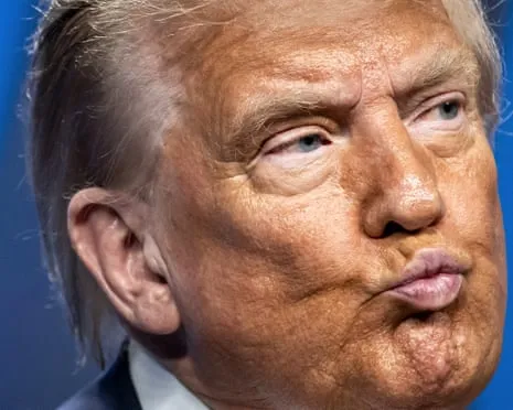 Trump v the Truth Overview: No Other Network Would Attempt TV So Daring (and) Repetitive