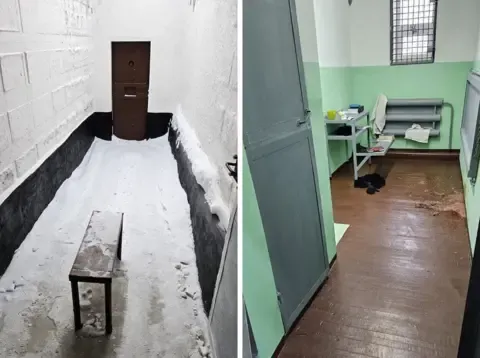 Analyses Show the opposition leader Suffered Poisoning During Imprisonment, His Wife Asserts