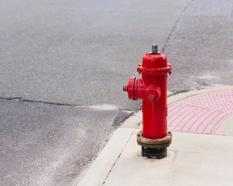 During 2009, Who Crashed a Luxury SUV Against a Fire Hydrant?