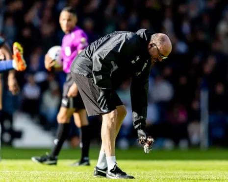 I have Observed Terrible Events at Soccer Games – But The Thing That Dropped on the Pitch Last Week Was Truly Shocking