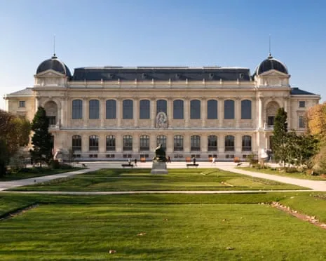 Invaluable Golden Samples Taken in Bold Raid at France's Natural History Museum
